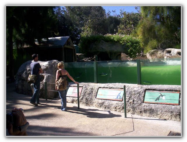 Stuart & Karen at Perth Zoo Feb 16th 2007 2